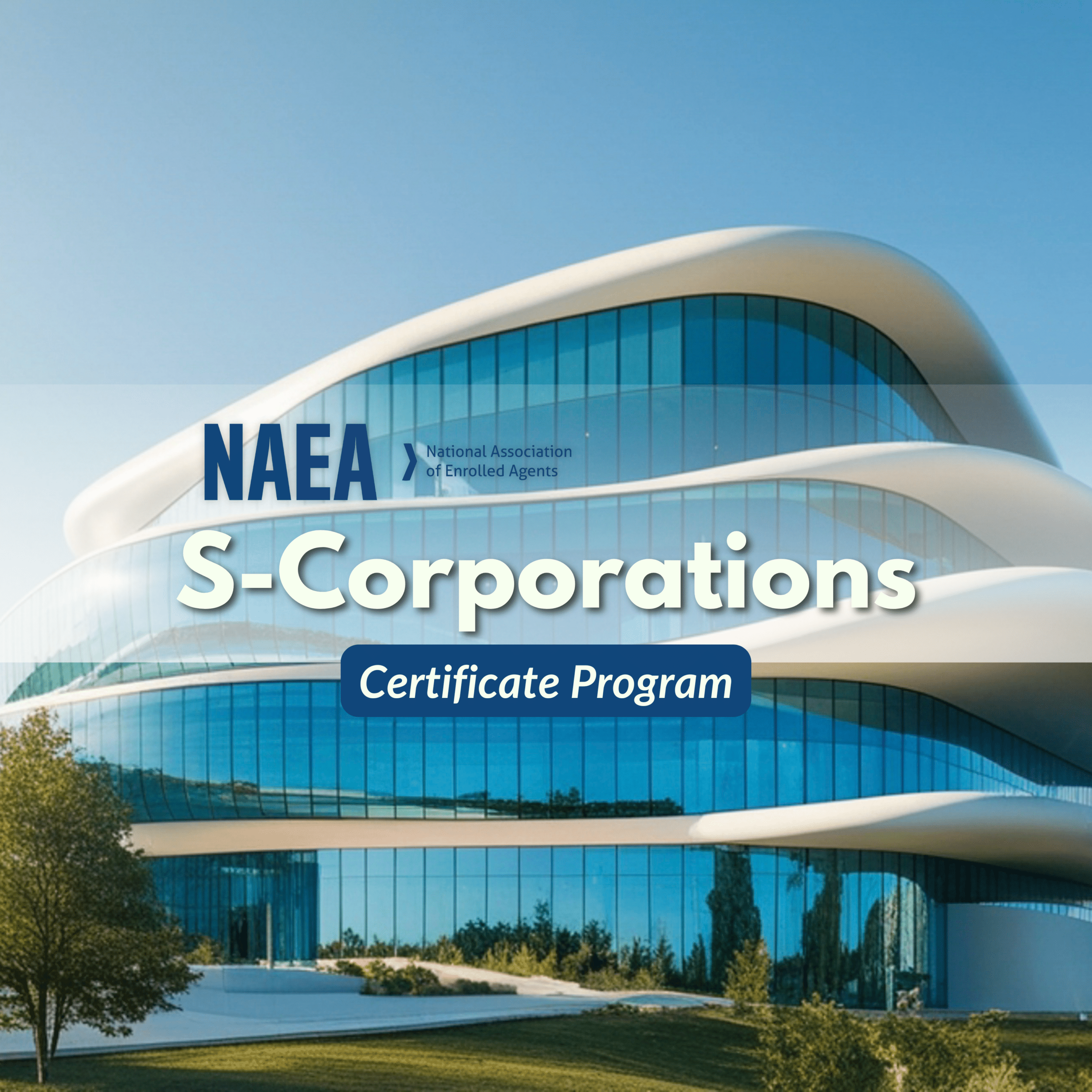 S-Coporations Certificate Program